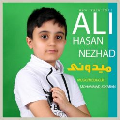 دانلود آهنگ علی حسن نژاد میدونی